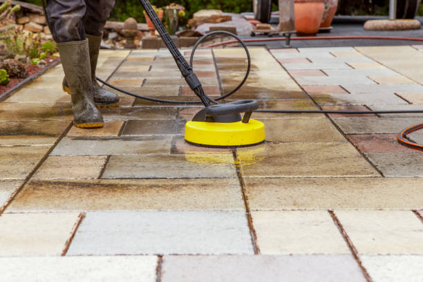 Animal Enclosure Cleaning in Potterville, MI